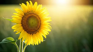 Finding Yourself After a Breakup: A Guide to Recovery & Self-Love