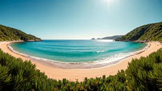 New Zealand's Top 12 Beaches: Sun, Sand, and Stunning Scenery Await