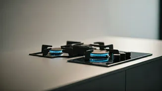 Revolutionary Hydrogen Stove: India's Rs 1.5 Lakh Innovation for Clean Cooking