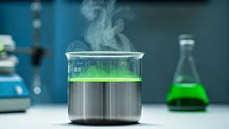 Cook to Reduce Harmful Compounds for Longevity