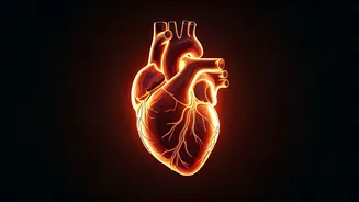 Boost Your Heart Health: 5 Gentle Daily Exercises for a Stronger Heart