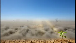 Beyond Hype, a Clear Air Explainer Is Needed for State of India's Environment 2026