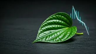 Related Stories banner