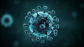 Hantavirus Cruise Outbreak: Navigating Travel Safety Amidst Rare Virus Concerns