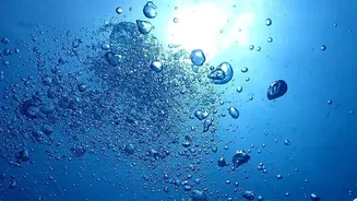 What The New Ocean Iron Study Shows About Ocean Fertilisation Limits