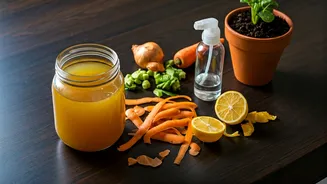 Kitchen Waste Finds A New Purpose At Home