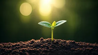 Related Stories banner