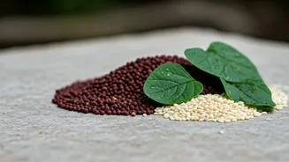 Navigating the Milk Price Hike: Discover Delicious & Calcium-Rich Indian Alternatives