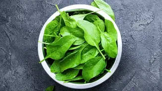 Raw Salad Ingredients Need Reliable Washing and Storage in Rainy Weather