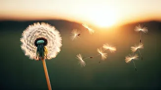 Byron Katie's Simple Truth: Life Happens FOR You, Not To You