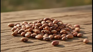 Indian Home Cooks Should Compare Benefits, Costs and Limits around Horse Gram