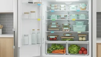 Clear Plans For Shelf Rules Help Organise A Shared-Fridge Agreement