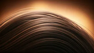 Unlock Your Hair's Potential: Amla Oil's Real Impact on Growth & Retention