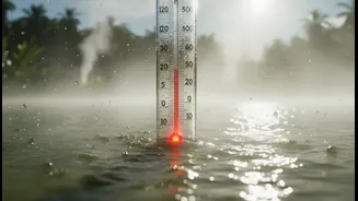 Monsoon Heat Stress Proves Rain Does Not Always Mean Relief