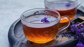 Can A Cup Of Rooibos Tea Support Better Everyday Wellness? Here's The Evidence