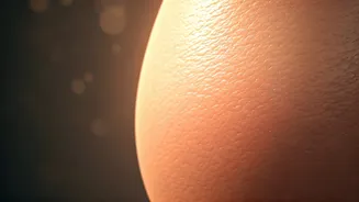 Related Stories banner