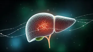 Listen Closely: Subtle Signs of Organ Stress and How to Prevent Damage