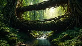 The Forest Walk Every Nature Lover Needs