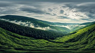 Coorg, Kerala, Meghalaya Become Monsoon Mood Boards