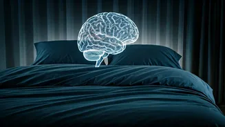 Sleep Recovery Is The New Workout Flex