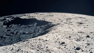 Some Earth Bacteria and Fungi May Survive Lunar Conditions, NASA Researchers Find