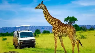 IRCTC Vandarshan Tours Aim to Reduce the Friction of Safari Bookings