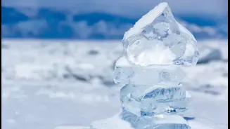 Why Ice Floats: And Other Scientific Wonders Hidden in Plain Sight