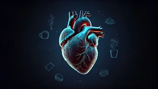 Evening Habits Harming Your Heart: A Cardiologist's Guide to Healthier Nights