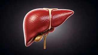 7 Everyday Habits Harming Your Liver: Protect Your Health