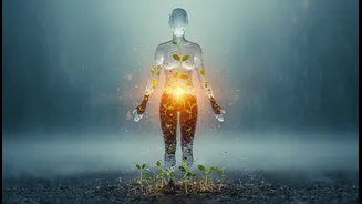 Monsoon Health Has Entered Lifestyle Planning