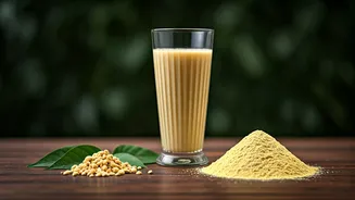 Switch To Protein Packed Sattu Drinks For Ultimate Natural Energy