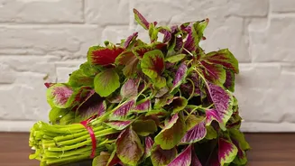Amaranth Breakfasts And Bone Nutrition: The Latest Position