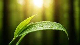 7 Daily Habits for a Happier Life