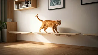 Maximize Tight Living Spaces via Smart Cat Bridge Installations