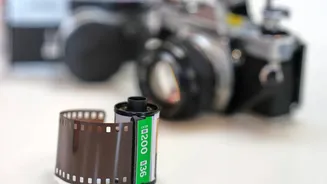 Understanding F-Stops in Film Photography