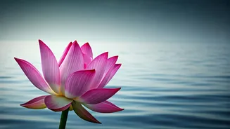 Urban Zen: Mastering Stress for Happiness in Bustling Indian Cities