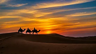 Jaisalmer Desert Festival 2026: A Spectacle of Culture