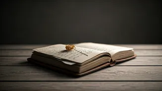 Solo Explorer's 5 Indian Observations Sparking Online Conversations