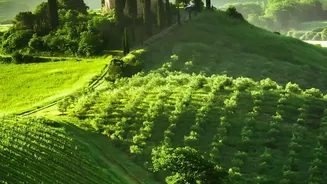 Tuscany Road Trip: Links Florence, Siena And Scenic Countryside Stops As Can Combine Art, Hill Towns And Vineyards In One Route