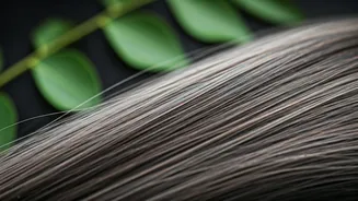 Curry Leaves for Grey Hair: DIY Recipes, Benefits, and Real Hair Health Impact