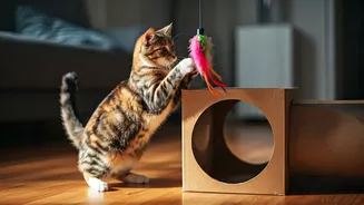 Your Cat Will Love These Indoor Challenges