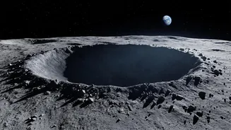 Bacteria and Fungi May Endure Deep Cold Near the Moon's Poles