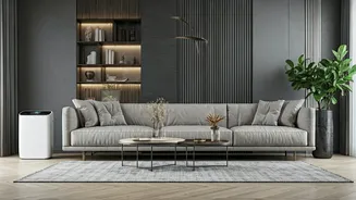Monsoon Decor Has Entered Its Practical Era