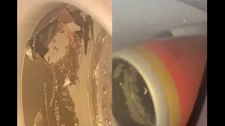 Air India Plane's Engine Damaged After Container Gets Stuck In It At Delhi's IGI Airport | Video