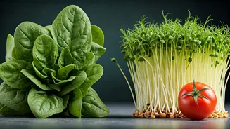 Unsafe Raw Veggies: 3 Gut-Risking Foods Gastroenterologists Warn Against