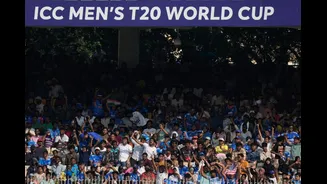 Related Stories banner