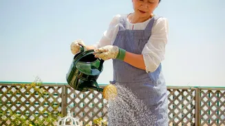 How Urban Gardeners Can Choose Suitable Plants For Sunny And Shaded Apartment Balconies