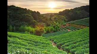 Kerala Is Rethinking Tourism: Can It Become India’s Leading Sustainable Travel Destination?