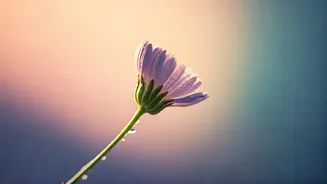 Divine Blessings: Unique Baby Names Meaning 'Gift from God'