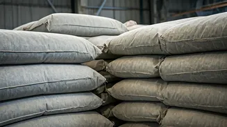Cement Sector Performance Is Reviewed